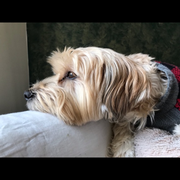 Meet your Posher, Racheal - Picture 1 of 1